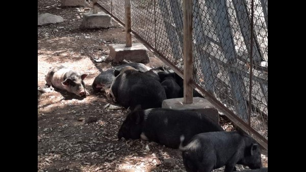  ಕ್ಯಾರೇ ಎನ್ನದ ವಿಮ್ಸ್ ಆಸ್ಪತ್ರೆ ಆಡಳಿತ ಮಂಡಳಿ