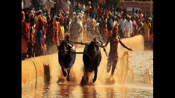'ಸಮಯ ಹಾಗೂ ದೂರದ ಬಗ್ಗೆ ನಿಖರತೆ ಇಲ್ಲ'