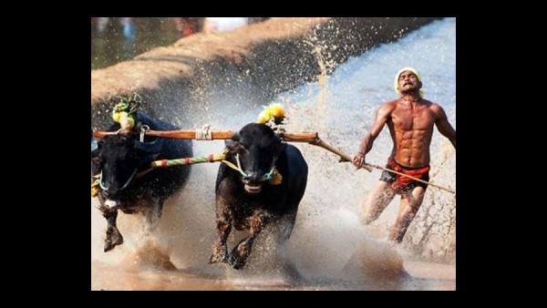 ಶ್ರೀನಿವಾಸ್ ಗೌಡ ಅದ್ಭುತ ಓಟಗಾರ, ಆದರೆ...