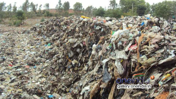 ಪಾಲಿಕೆಗೆ ಕಣ್ಣಿಗೆ ಮಣ್ಣೆರಚಿದ ಬಗೆ ಕಸದಲ್ಲೂ ರಸ ಕಂಡುಕೊಂಡವರು