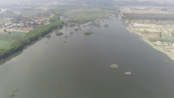 ಕೃಷ್ಣ ಬೈರೇಗೌಡರ ಟ್ವೀಟ್