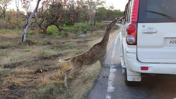  ವಾಹನ ನಿಲ್ಲಿಸಿ ಫೋಟೊ ತೆಗೆದುಕೊಳ್ಳುವ ಜನ