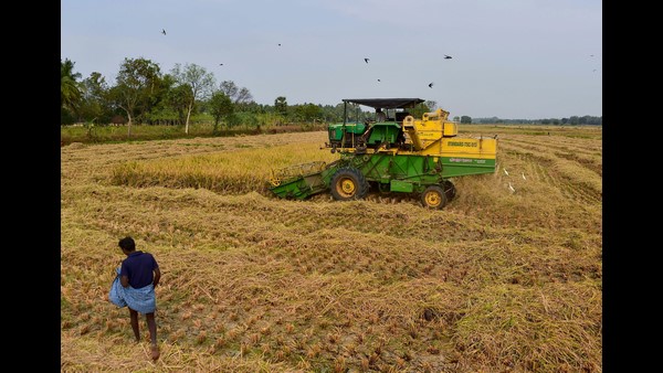 ಎಂಟು ಜಿಲ್ಲೆಗಳಲ್ಲಿ ಕೃಷಿ ವಲಯ