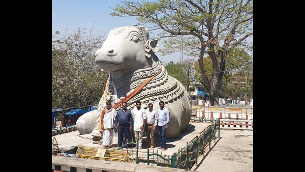 Crack Appeared Again In Nandi Statue Of Chamundi Hills