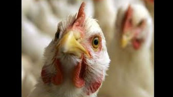 ರಾಜ್ಯದಲ್ಲಿ ದಿನಕ್ಕೆ 8 ಕೋಟಿ ರೂ. ನಷ್ಟ ರಾಜ್ಯದಲ್ಲಿ ದಿನಕ್ಕೆ 8 ಕೋಟಿ ರೂ. ನಷ್ಟ