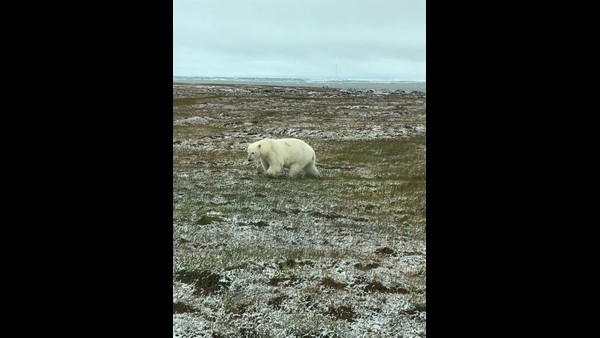 ಕರಗುತ್ತಿರುವ ಹಿಮದಿಂದ ಸಮಸ್ಯೆ