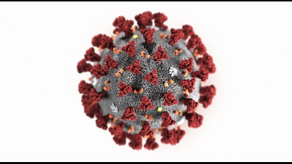 ಕೆಲವೇ ದಿನಗಳಲ್ಲಿ ಹೆಸರು ಅಂತಿಮ