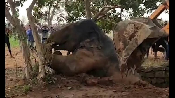 ಮೂರು ಗಂಟೆ ಕಾರ್ಯಾಚರಣೆ