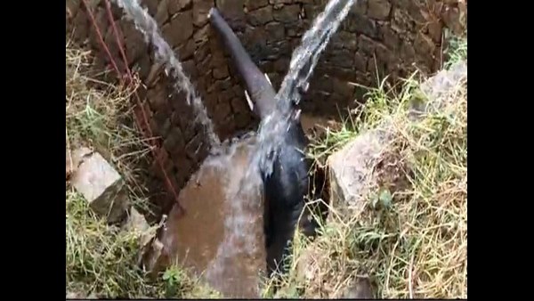 'ಇವರೇ ದೇಶದ ಹೀರೋಗಳು'