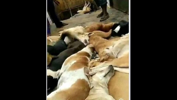 ತೆಲಂಗಾಣದ ಚಿತ್ರಗಳು