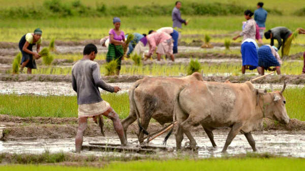 State Government Waive The Loan Interest Of PLD and Apex Bank Farmers State Government Waive The Loan Interest Of PLD and Apex Bank Farmers