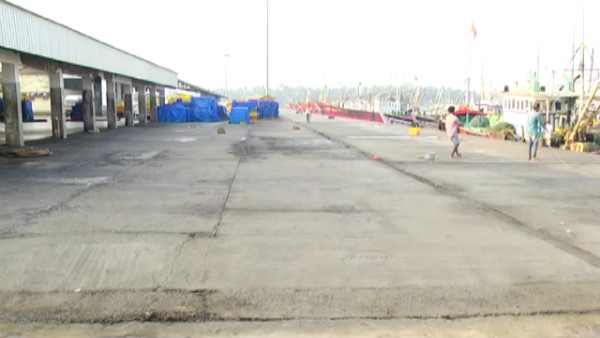  ಅವೈಜ್ಞಾನಿಕ ಮೀನುಗಾರಿಕೆಯೂ ಕಾರಣ?