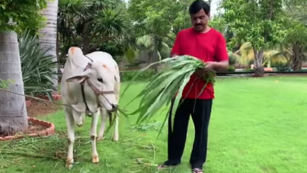 ಅರ್ಥವ್ಯವಸ್ಥೆಗೆ ಮಾತ್ರ ಆಕೆ ಸೀಮಿತವಾಗಿಲ್ಲ