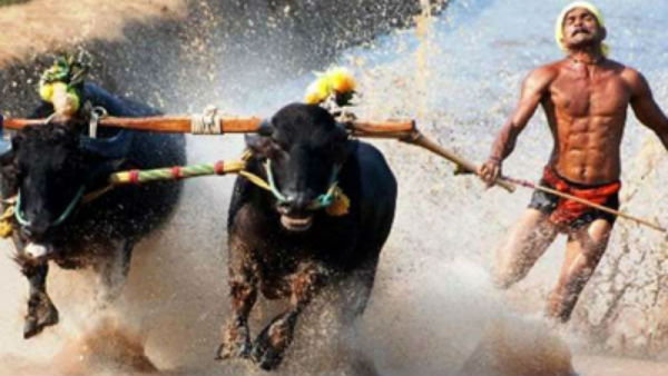 Kambala Runner Breaks Record Of Usain Bolt Kambala Runner Breaks Record Of Usain Bolt