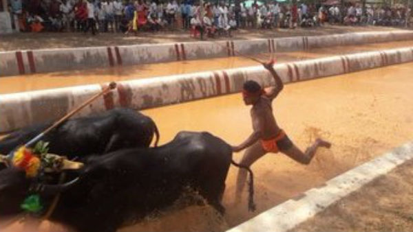 ಯಡಿಯೂರಪ್ಪ ಅವರನ್ನು ಭೇಟಿ ಮಾಡಲಿರುವ ಗೌಡ