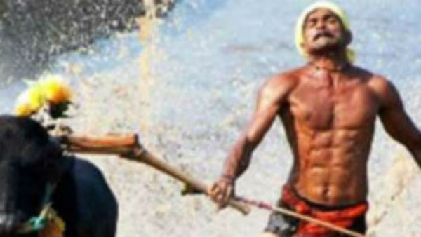 ಕೋಣಕ್ಕೆ ಶ್ರೇಯಸ್ಸು ನೀಡಿದ ಶ್ರೀನಿವಾಸ 