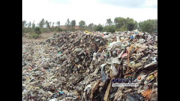 ಕಸದಲ್ಲಿ ನಡೆದ ಹಗರಣದ ಮೊತ್ತ ಎಷ್ಟು?