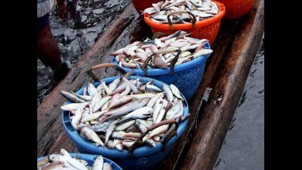 ಮೀನುಗಾರರು ಬೀದಿಗೆ ಬೀಳುವ ಪರಿಸ್ಥಿತಿ