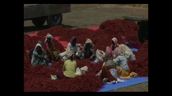  ಬಳ್ಳಾರಿ ಮೆಣಸಿನಕಾಯಿಗೂ, ಕೊರೊನಾಗೂ ಸಂಬಂಧವೇನು?