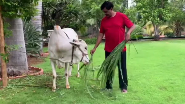 ದೇವರನ್ನು ಕಾಣುತ್ತೇವೆ