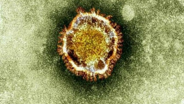  ಯಾವುದೇ ಮನುಷ್ಯರಲ್ಲಿ ಕಾಣಿಸಿಕೊಂಡಿರುವ ನಿದರ್ಶನವಿಲ್ಲ