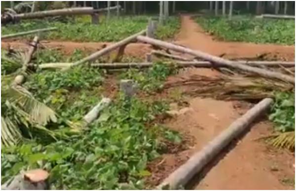 ಜಾತ್ರೆ ನಡೆಯಬೇಕಿದ್ದ ಸ್ಥಳ 