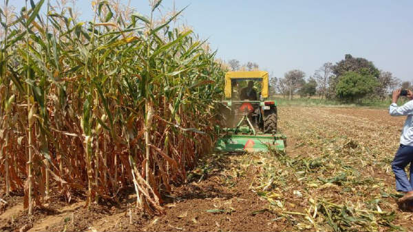 ಕೋಳಿ ಮಾಂಸ ತಿಂದರೆ ಕೊರೊನಾ ವೈರಸ್‌ ಬರುತ್ತದೆ