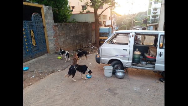 ಪ್ರಾಣಿ ಹಕ್ಕು ಕಾರ್ಯಕರ್ತ ಸೋಮನಾಥ್
