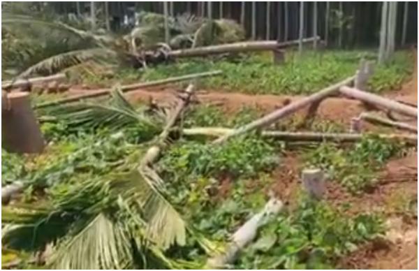 ತಪ್ಪು ಸಂದೇಶ ನೀಡುತ್ತಿದ್ದಾರೆ