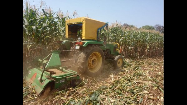 ಪ್ರತಿ ಎಕರೆ ಮೆಕ್ಕೆಜೋಳ ಬೆಳೆಯಲು 20 ಸಾವಿರ ರೂ.ಗಳು ಬೇಕು