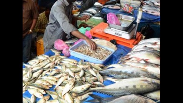 ಗೇಲಿ ಮಾಡಿದ್ದ ಅಕ್ಕ ಪಕ್ಕದವರು 