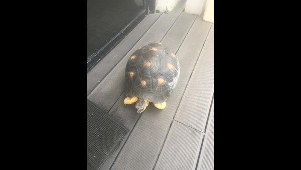  ಭಾರತದ ಗಣರಾಜ್ಯೋತ್ಸವ