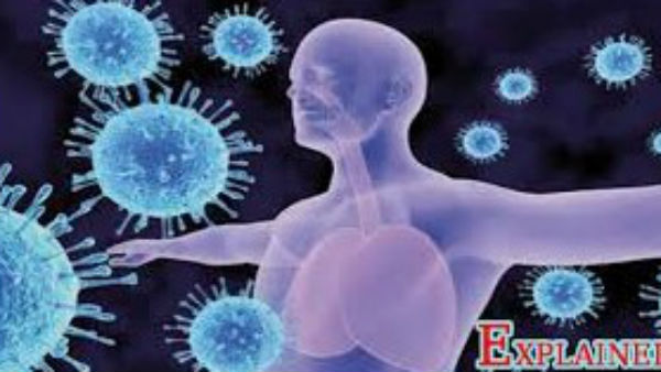 ತಪ್ಪು ಮಾಹಿತಿಗಳು ಹೆಚ್ಚು