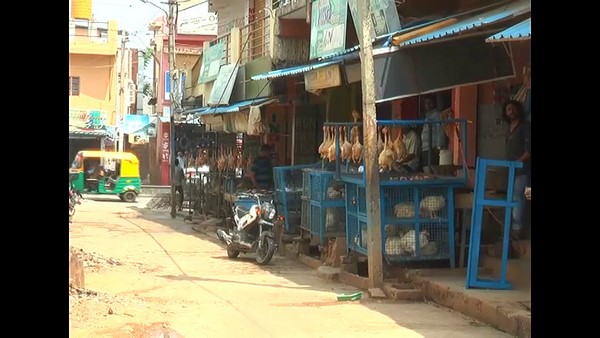 Corona Effect: Thousands Of Chickens Kill In Kolar