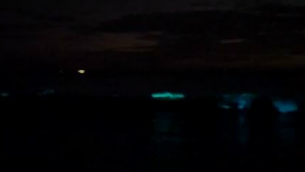  ಮತ್ಸ್ಯ ಕ್ಷಾಮದ ಸೂಚನೆ?