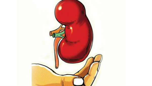 Traditional Treatment For Kidney Problems In Bengaluru KR Puram