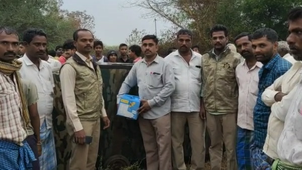  Another Leopard Captured In T Narasipura