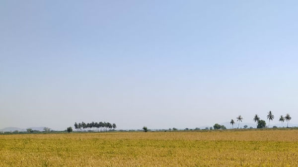 ಸರ್ಕಾರಿಂದ ಪಾಸು ವಿತರಣೆ