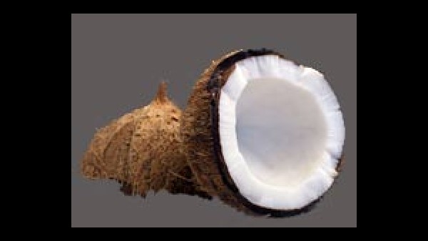 ತೆಂಗಿನೆಣ್ಣೆಯಲ್ಲಿ ಲಾರಿಕ್ ಆಸಿಡ್ ಅಧಿಕ 