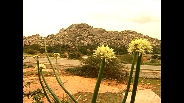 ರಿಯಲ್ ಎಸ್ಟೇಟ್ ನಿಂದ ಚಿನ್ನದ ಬೆಲೆ