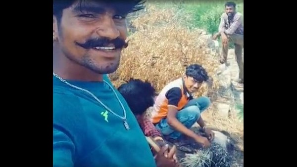 ಟಿಕ್ ಟಾಕ್ ಗಾಗಿ ಮುಳ್ಳುಹಂದಿ ತಿಂದ ವ್ಯಕ್ತಿ ಟಿಕ್ ಟಾಕ್ ಗಾಗಿ ಮುಳ್ಳುಹಂದಿ ತಿಂದ ವ್ಯಕ್ತಿ