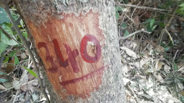  ಸಾಗುವಳಿ ಚೀಟಿ ಇದ್ದರೂ ಜಮೀನು ಕಸಿದುಕೊಂಡ ಆರೋಪ