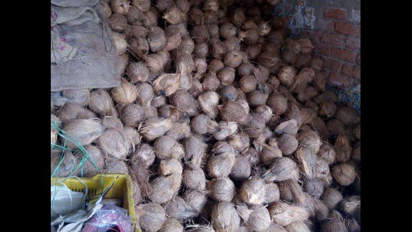 ತೆಂಗಿನ ಎಣ್ಣೆ ದಿನನಿತ್ಯ ಬಳಕೆ 