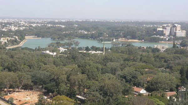 ಪಕ್ಷಿಗಳಿಗೆ ಆಹಾರ; ಅನಾವರಣಗೊಂಡ ಸಚಿವರ ಮತ್ತೊಂದು ಮುಖ