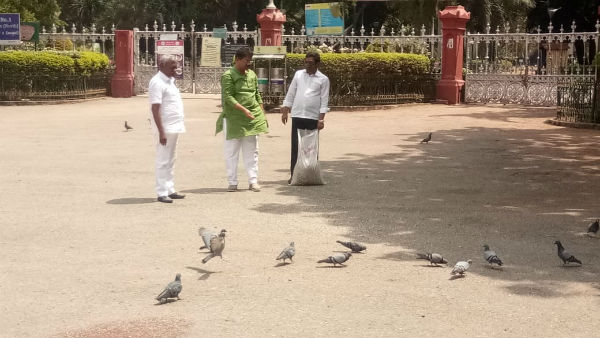 ಕಬ್ಬನ್ ಪಾರ್ಕ್, ಲಾಲ್‌ಭಾಗ್‌ಗಳಲ್ಲಿ ಆಹಾರದ ಕೊರತೆ