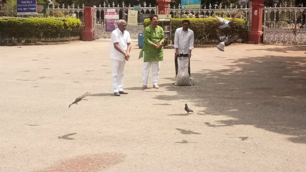 ಬೆಂಗಳೂರಿನಲ್ಲಿ ಶೇಕಡಾ 50 ರಷ್ಟು ಕಡಿಮೆಯಾಗಿರುವ ಪಕ್ಷಿ ಪ್ರಬೇಧಗಳು