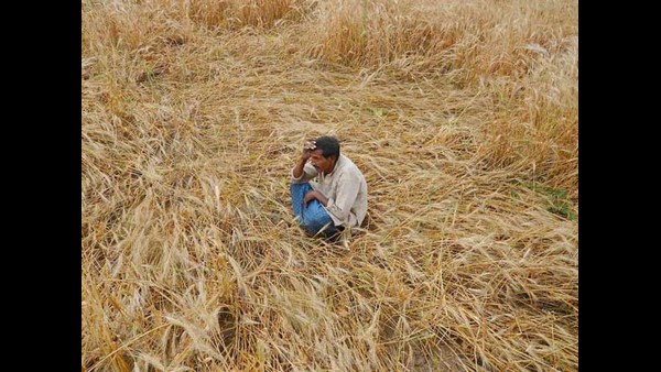 ಪ್ಯಾಕೇಟುಗಳ ಮೂಲಕ ಮಾರಾಟ ಮಾಡುವುದು ಸೂಕ್ತ 