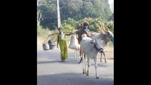 Our So Many Artists In Villages Begging To Lead Their Life 