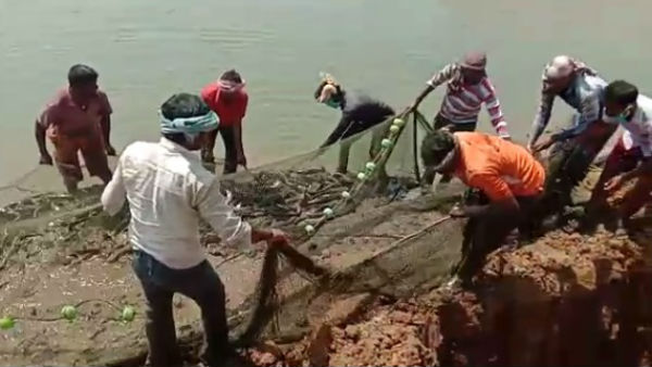 AC Attack On Dangerous Catfish Farming In Harihar AC Attack On Dangerous Catfish Farming In Harihar