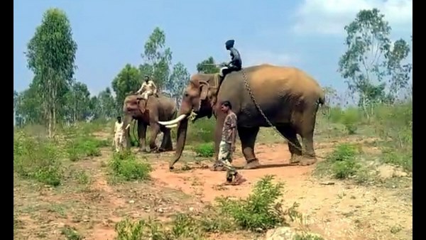  ಅಧಿಕಾರಿಗಳಿಂದ ಕಾರ್ಯಾಚರಣೆ ಆರಂಭ